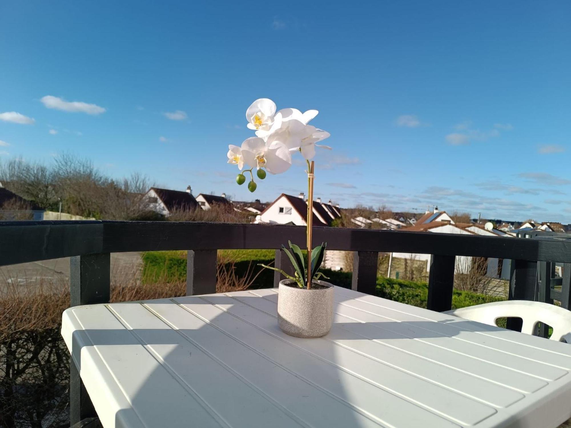 Apartment Luna By Interhome De Haan Esterno foto